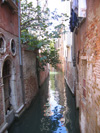 гид в Венеции