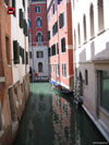 Venice 100
